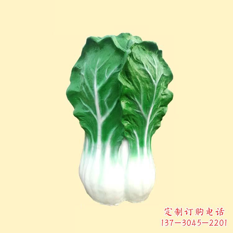 盐城白菜智能投影仪——让你的生活更加精彩