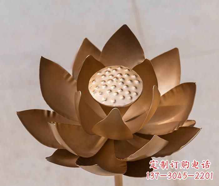 盐城铜雕景观荷花