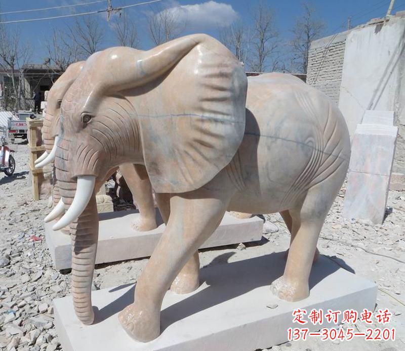 盐城晚霞红卷鼻大象